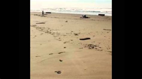 groundzero radio, strange metal boxes wash up on oregon beaches